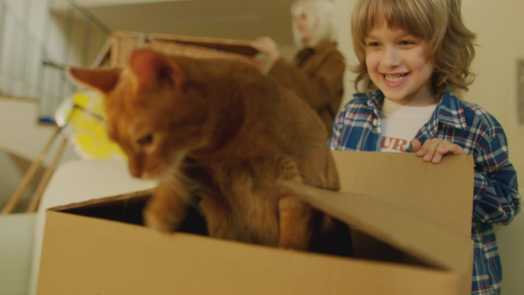 sofa cover_slashop_website 2_green.mp4